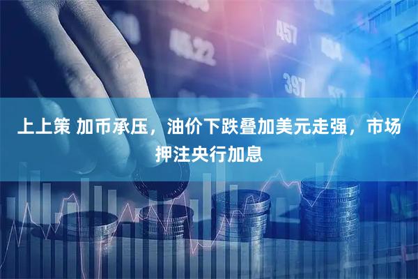 上上策 加币承压，油价下跌叠加美元走强，市场押注央行加息