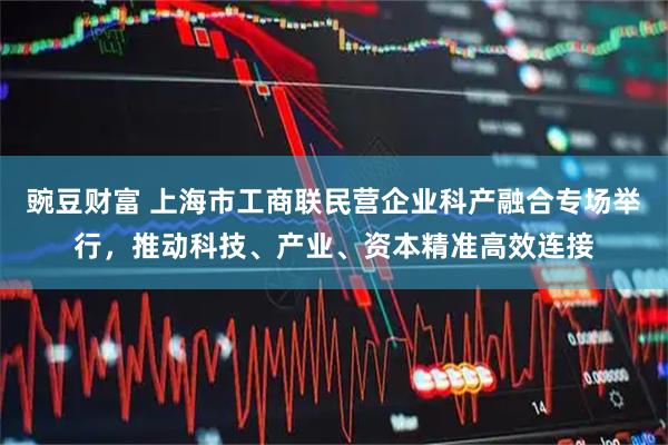 豌豆财富 上海市工商联民营企业科产融合专场举行，推动科技、产业、资本精准高效连接