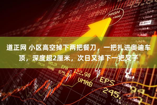 道正网 小区高空掉下两把餐刀，一把扎进奥迪车顶，深度超2厘米，次日又掉下一把叉子